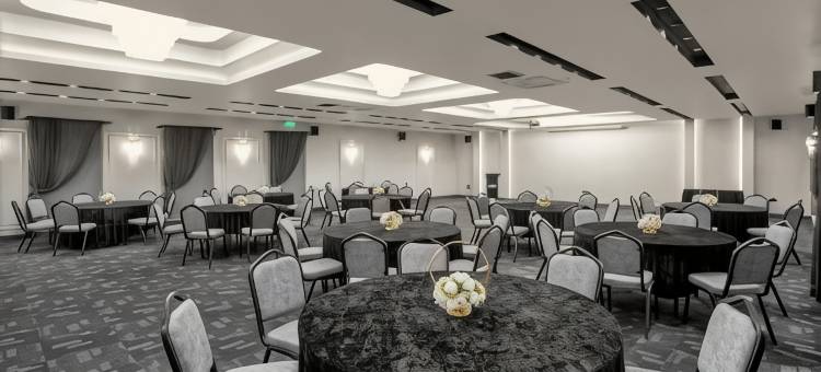 萨卡里亚卢克索酒店(Luxon Hotel Sakarya)图片