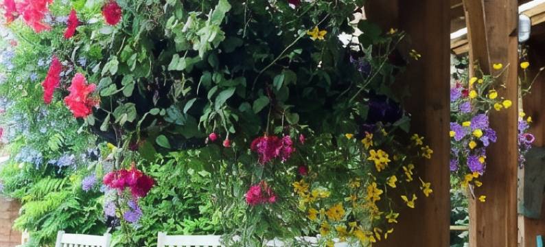 十字钥匙旅馆(Cross Keys Inn)图片