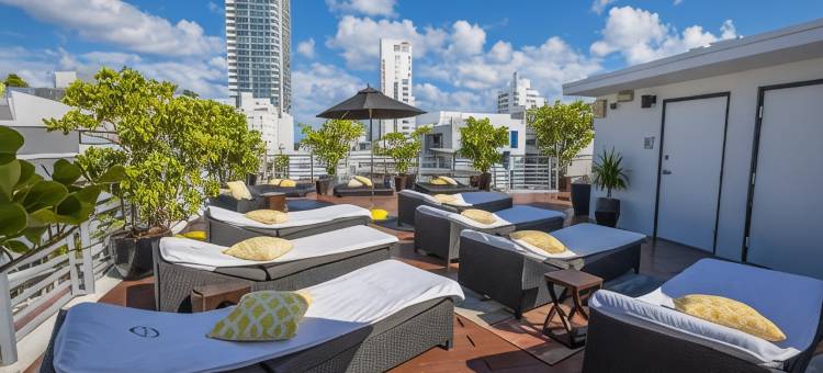 迈阿密海滩里维埃拉酒店(Riviera Hotel South Beach)图片