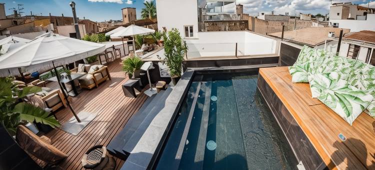 帕尔马普罗酒店(Puro Hotel Oasis Urbano)图片