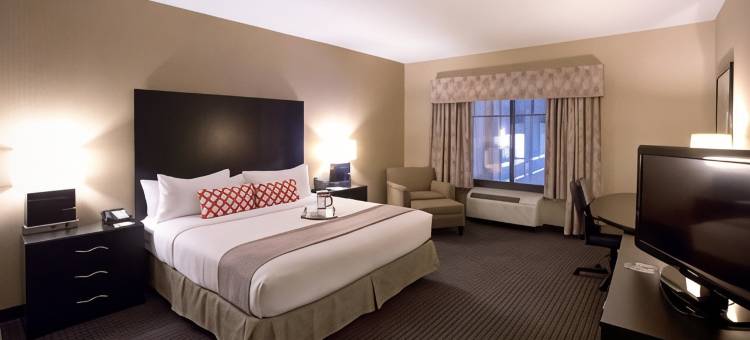 圣保罗东北 - 埃尔莫湖假日酒店(Holiday Inn & Suites ST. Paul NE - Lake Elmo)图片