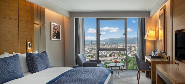 瑞享温泉水疗酒店(Mövenpick Bursa Hotel and Thermal Spa)图片