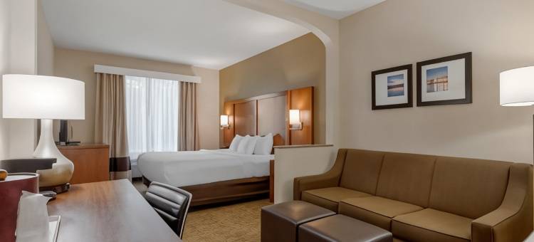 哥伦布州立大学舒适套房酒店(Comfort Suites Columbus State University Area)图片