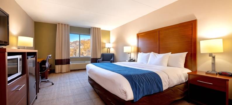 匡蒂科正门北方附近舒适酒店(Comfort Inn Near Quantico Main Gate North)图片