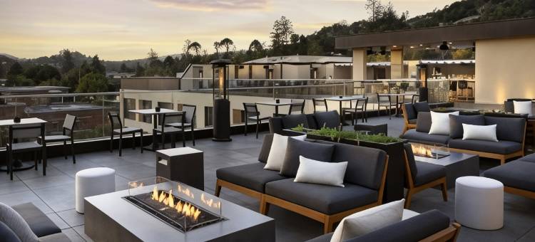 圣拉斐尔市中心的AC酒店(AC Hotel San Rafael Downtown)图片