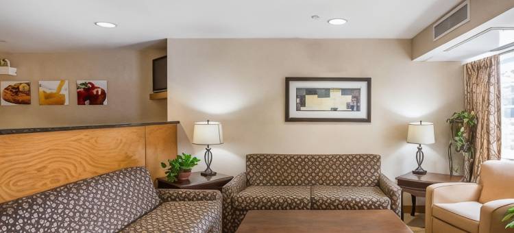 凯艺套房酒店(Quality Inn & Suites)图片