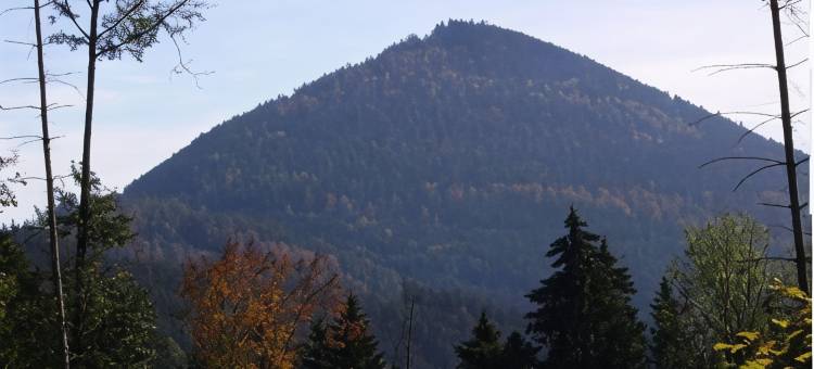 林斯坦旅馆(Auberge d'Hôtes l'Instant)图片