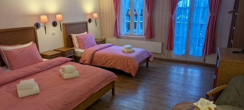 劳特布龙嫩旭森酒店(Hotel Schützen Lauterbrunnen)图片