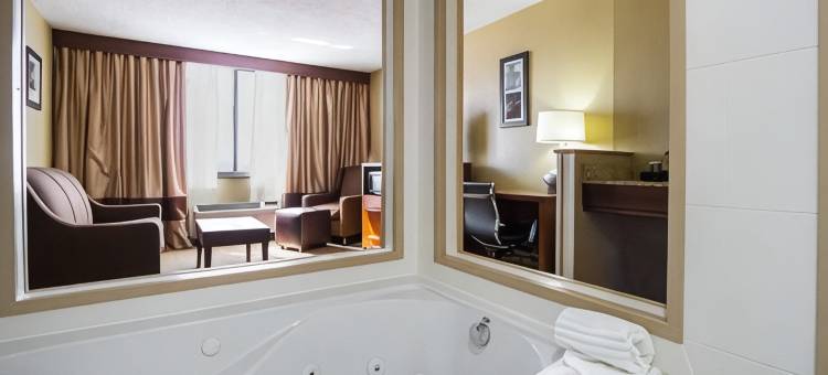 市中心舒适酒店(Comfort Inn Downtown)图片