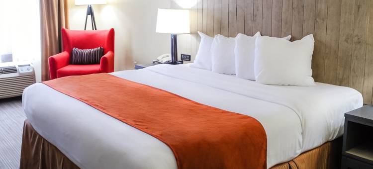 切斯特丽怡酒店(Country Inn & Suites by Radisson, Chester, VA)图片