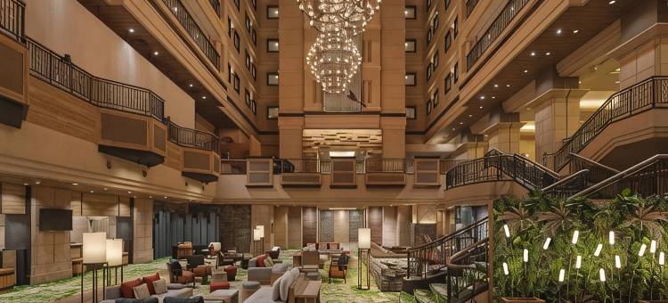 Club Med 北海道喜乐乐绮境度假村(Club Med Kiroro Grand)图片