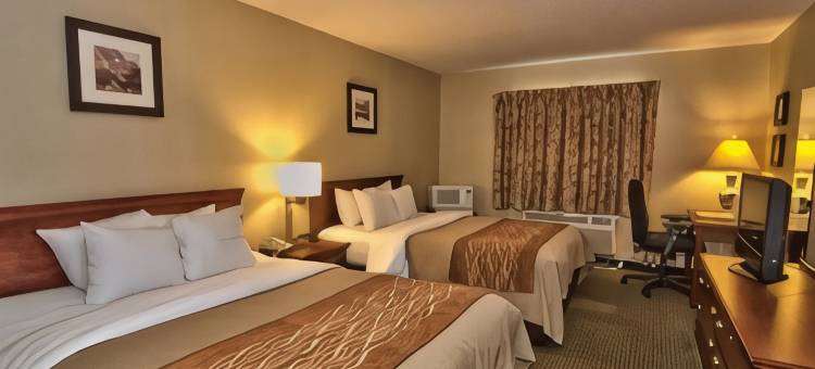威尔克斯巴里竞技场舒适套房酒店(Comfort Inn & Suites Wilkes Barre - Arena)图片