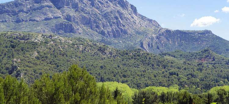 Ibis Budget Aix en Provence Est le Canet图片