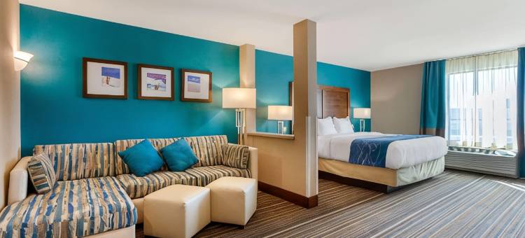 舒适套房酒店-拉斯克鲁塞斯25号州际公路北(Comfort Suites of Las Cruces I-25 North)图片