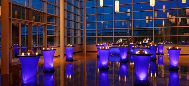哈洛娱乐场温泉度假村(Harlow's Casino Resort & Spa)图片