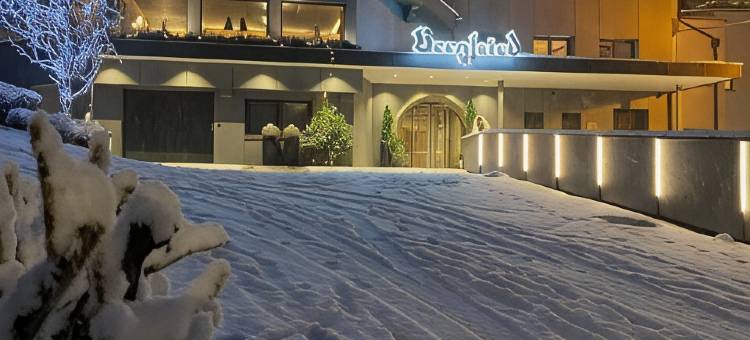伯格弗里德阿克提夫和疗养酒店(Aktiv- & Wellnesshotel Bergfried)图片