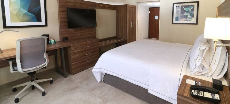 瓜达拉哈拉机场智选假日酒店(Holiday Inn Express GUADALAJARA AEROPUERTO by IHG)图片