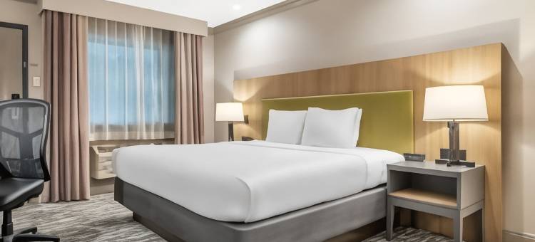 新奥尔良梅塔里丽怡酒店(Country Inn & Suites by Radisson, Metairie (New Orleans), La)图片