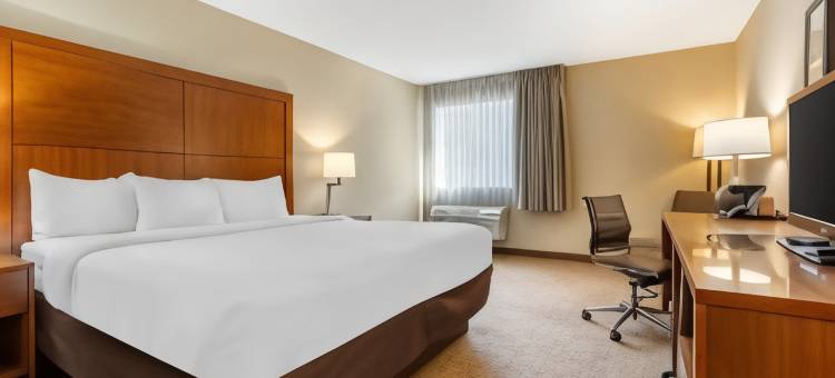 机场会议中心舒适套房酒店(Comfort Inn & Suites Airport Convention Center)图片