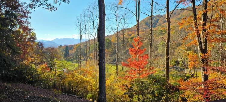 Nantahala Nookie Nook: A Playful Retreat w/Stunning Long-Range mt Sunset Views图片