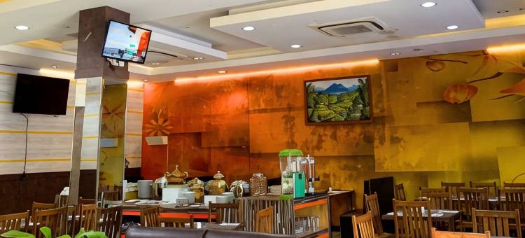 新达夫酒店(New d'Dhave Hotel)图片
