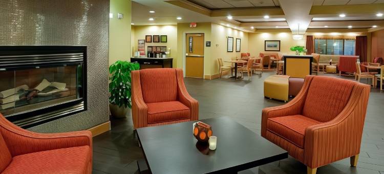斯普林菲尔德-奇科皮欢朋酒店(Hampton Inn Chicopee/Springfield)图片