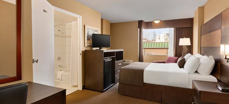 卡尔加里南戴斯酒店(Days Inn by Wyndham Calgary South)图片