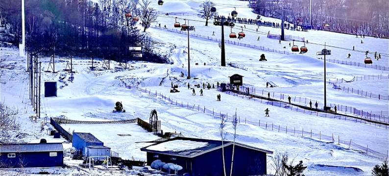 张恒志度假别墅(龙金线分店)图片