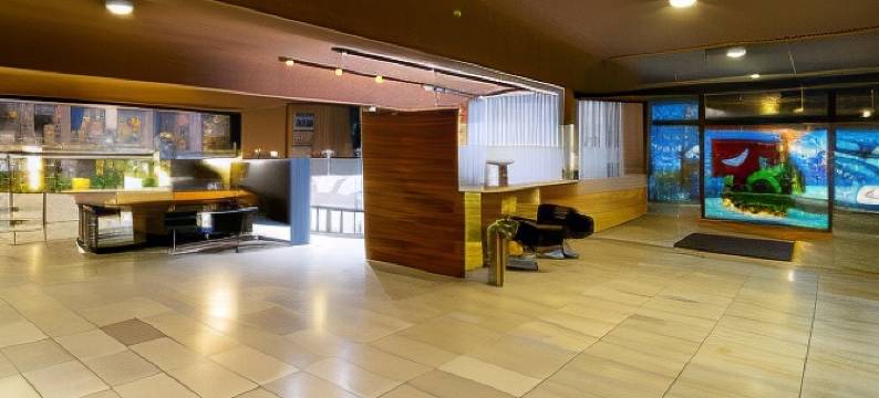 亚美利卡酒店(Hotel America Igualada)图片