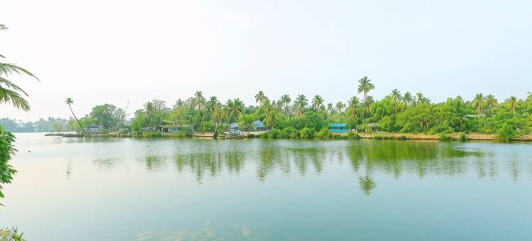 首都 O 29855 岛屿旅馆(Super Townhouse Island Inn)图片