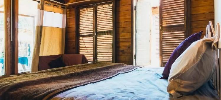 仙境旅馆(Wonderland Hostel)图片