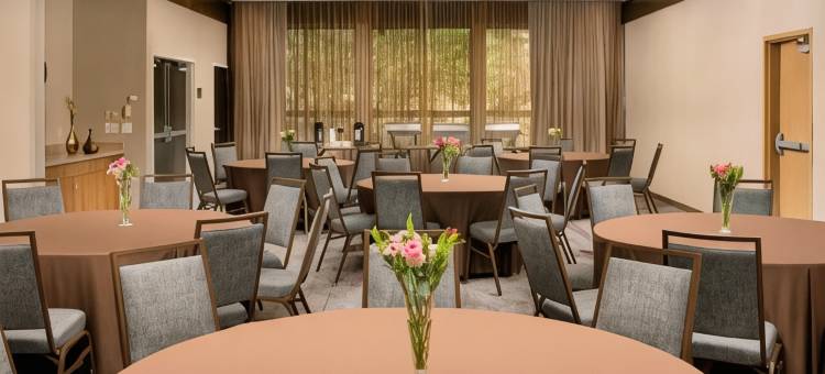 拉夫金万怡酒店(Courtyard Lufkin)图片