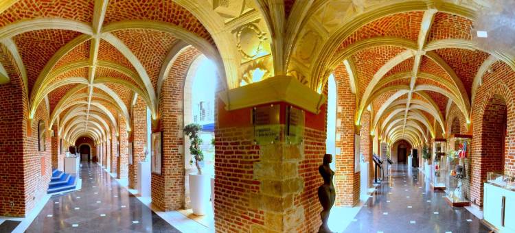联盟酒店(Alliance Lille - Couvent des Minimes)图片