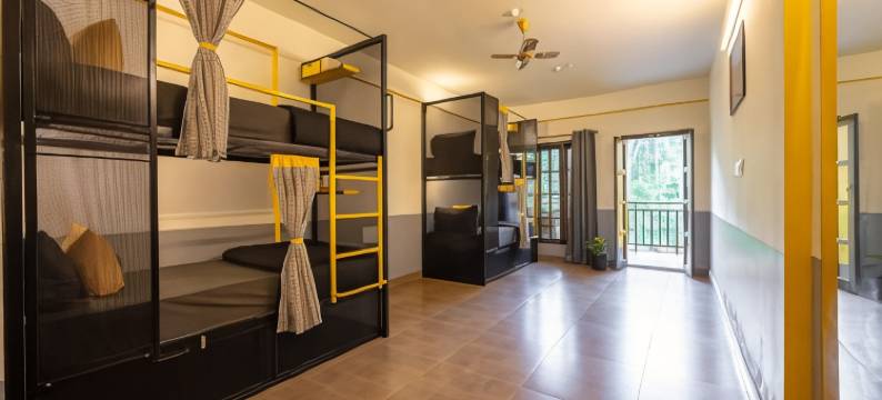 The Hosteller 库尔格雨林马迪凯里(The Hosteller Coorg Rainforest, Madikeri)图片