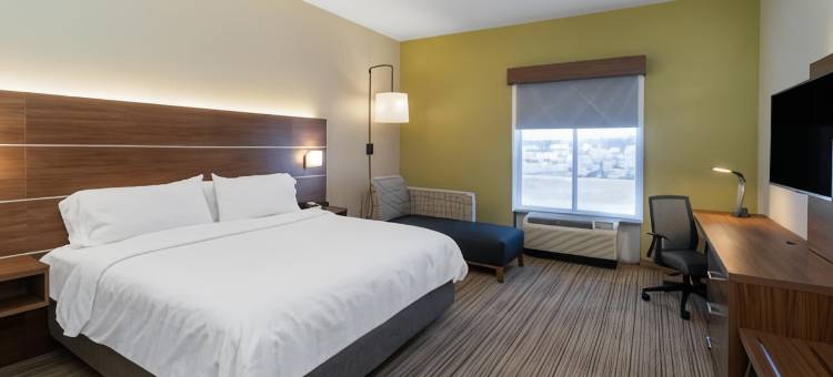 智选假日套房酒店塔拉迪加(Holiday Inn Express & Suites Talladega)图片