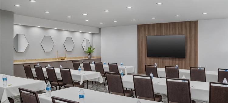 阿林顿北娱乐区欢朋套房酒店达拉斯(Hampton Inn & Suites Dallas-Arlington North-Entertainment District)图片