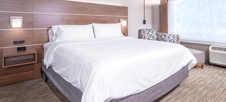 Holiday Inn Express & Suites Brevard – City Center图片