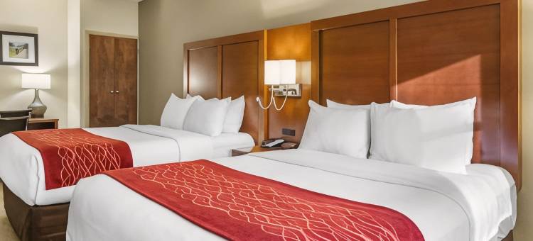 罗克韦尔兰开斯特舒适酒店(Comfort Inn Lancaster at Rockvale)图片