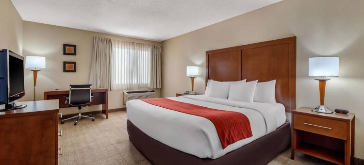 丹佛东南区舒适酒店(Comfort Inn Denver Southeast Area)图片