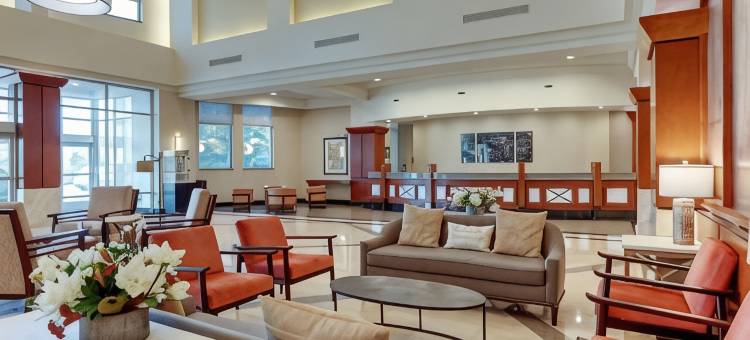 纳什维尔-富兰克林德鲁里广场酒店(Drury Plaza Hotel Nashville Franklin)图片