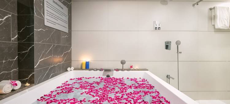 艾哈迈达巴德SK 贵族生态酒店(SK Lords Inn Ahmedabad)图片