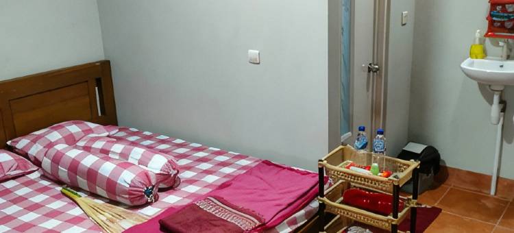 Kodhok Ijo Bukit Sion图片