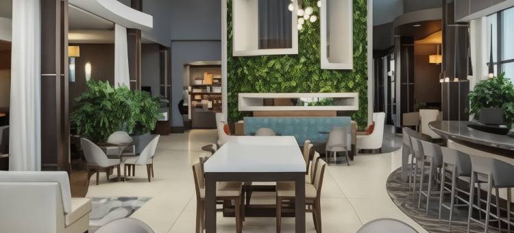 诺克斯维尔西希尔顿安泊酒店(Embassy Suites by Hilton Knoxville West)图片