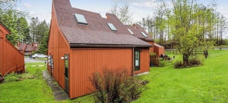 Peaceful 2Br Cabin - Davis • Thomas • Canaan • Timberline Ski-Hike-Ride in WV!图片