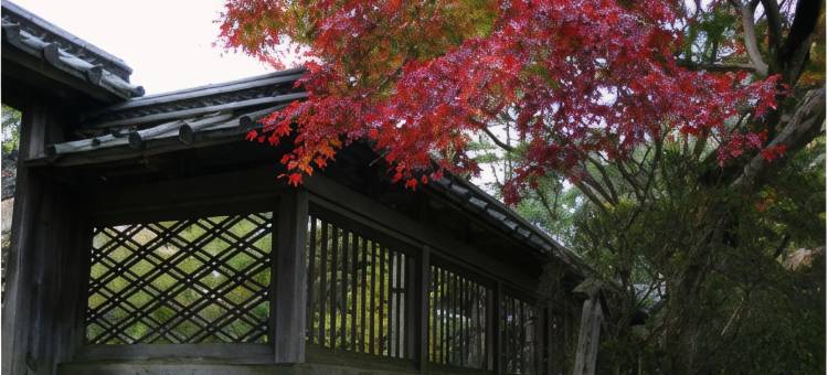 京都大津Tetora酒店(Hotel Tetora Otsu Kyoto)图片
