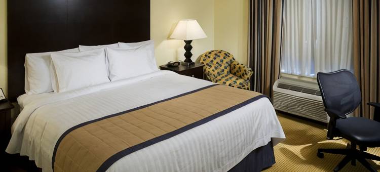 休斯敦洲际机场万枫酒店及套房(Fairfield Inn & Suites Houston Intercontinental Airport)图片
