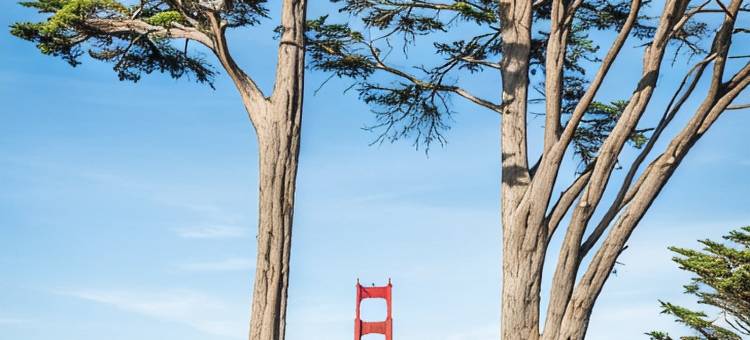 希尔顿逸林酒店-旧金山SoMa区(Canopy by Hilton San Francisco SoMa)图片