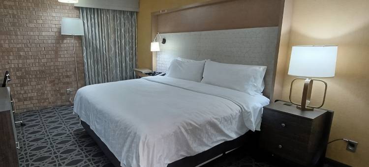 迈克艾伦医疗中心区假日酒店(Holiday Inn MCALLEN – MEDICAL CENTER AREA by IHG)图片