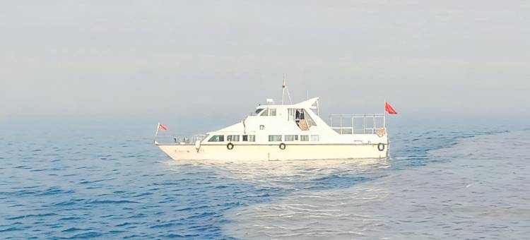 黄河口民宿图片