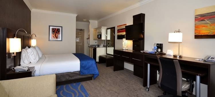 智选假日套房酒店圣克拉拉(Holiday Inn Express & Suites SANTA CLARA by IHG)图片